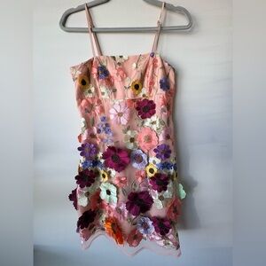 Floral Embroidered Dress